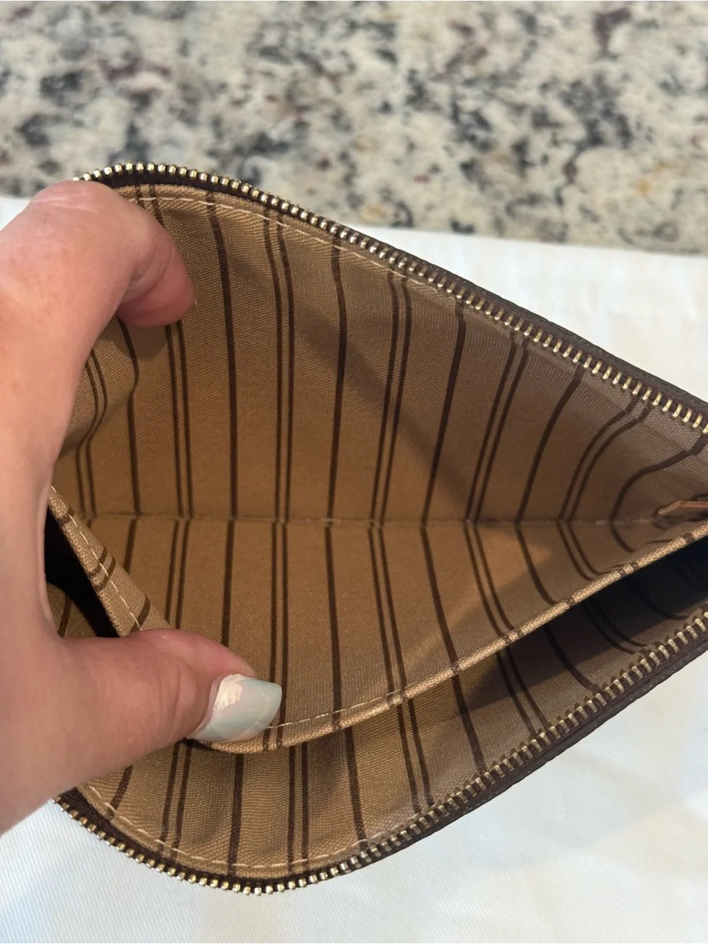 Louis Vuitton Monogram Neverfull Pouch